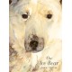 The Ice Bear, The