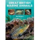Great British Marine Animals
