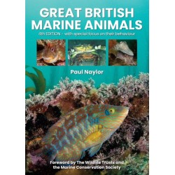 Great British Marine Animals
