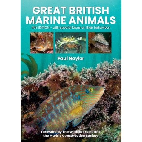 Great British Marine Animals