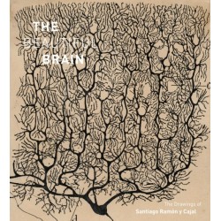 The Beautiful Brain: The Drawings of Santiago Ramon y Cajal