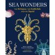 Sea Wonders: The Octopus, the Cuttlefish, and the Squid