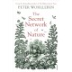 The Secret Network of Nature: The Delicate Balance of All Living Things
