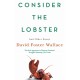 Consider The Lobster: Essays and Arguments