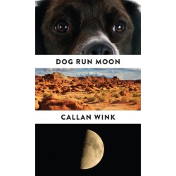 Dog Run Moon: Stories
