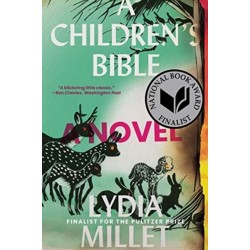 A Children's Bible: A Novel