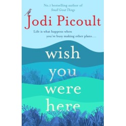 Wish You Were Here: A completely gripping, unputdownable novel from the bestselling author of My Sister's Keeper