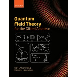Quantum Field Theory for the Gifted Amateur