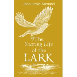 The Soaring Life of the Lark