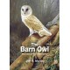 The Barn Owl: Guardian of the Countryside