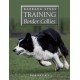 Barbara Sykes' Training Border Collies