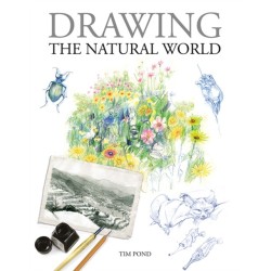 Drawing the Natural World