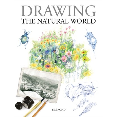 Drawing the Natural World