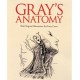Grays Anatomy