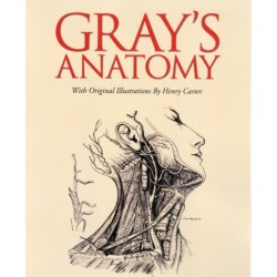 Grays Anatomy