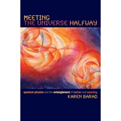 Meeting the Universe Halfway: Quantum Physics and the Entanglement of Matter and Meaning