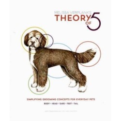 Theory Of 5