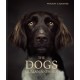 The Dogs: Human Animals
