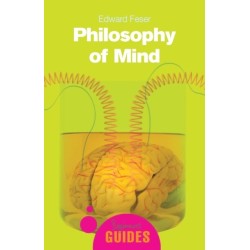 Philosophy of Mind: A Beginner's Guide