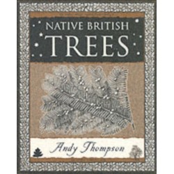 Native British Trees