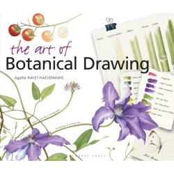 The Art of Botanical Drawing