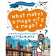 A Question of Geography: What Makes a Mega City Mega?: and other questions about settlements