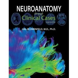 Neuroanatomy through Clinical Cases