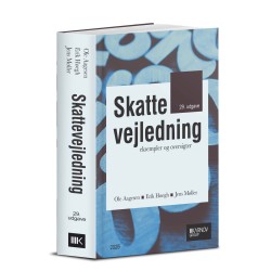 Skattevejledning 2025: Eksempler og oversigter