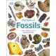 My Book of Fossils: A fact-filled guide to prehistoric life