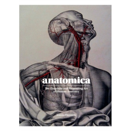 Anatomica: The Exquisite and Unsettling Art of Human Anatomy