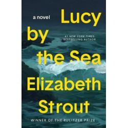 Lucy by the Sea: A Novel