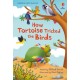 How Tortoise tricked the Birds