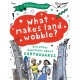 A Question of Geography: What Makes Land Wobble?: and other questions about earthquakes
