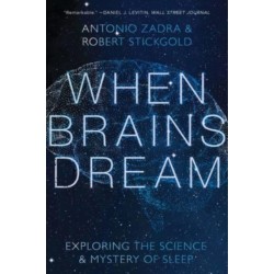 When Brains Dream: Understanding the Science and Mystery of Our Dreaming Minds