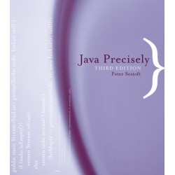 Java Precisely