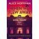 When We Flew Away: A Novel of Anne Frank, Before the Diary