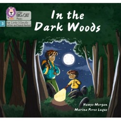 In the Dark Woods: Phase 3 Set 2