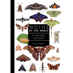 Moths of the World: A Natural History