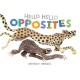 Hello Hello Opposites