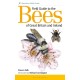 Field Guide to the Bees of Great Britain and Ireland