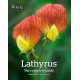 Lathyrus: The Complete Guide