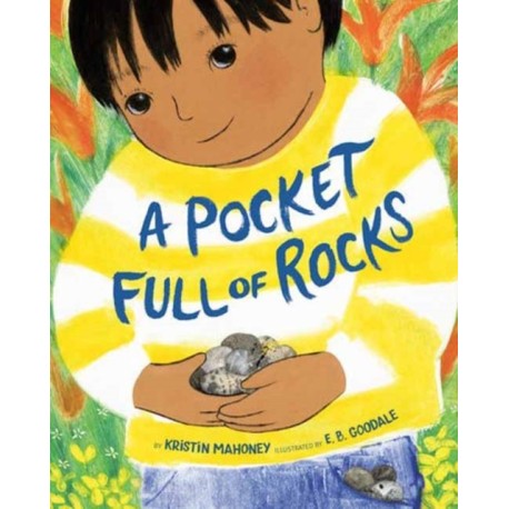 A Pocket Full of Rocks