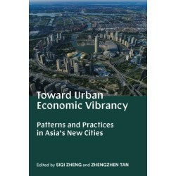 Toward Urban Economic Vibrancy: Patterns and Practices in Asia's New Cities