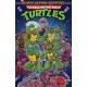 Teenage Mutant Ninja Turtles: Saturday Morning Adventures, Vol. 1