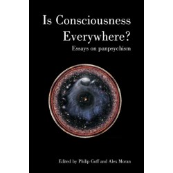 Is Consciousness Everywhere?: Essays on Panpsychism