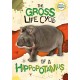 The Gross Life Cycle of a Hippopotamus
