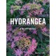 The Hydrangea: A Reappraisal