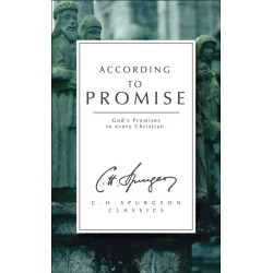 According to Promise: God's Promises to Every Christian