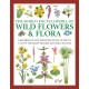 Wild Flowers & Flora, The World Encyclopedia of: A reference and identification guide to 1730 of the world's most significant wild plants