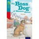 Oxford Reading Tree TreeTops Fiction: Level 9 More Pack A: The Boss Dog of Blossom Street